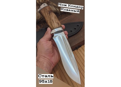 Нож «Кондор» рукоять горный орех, изображение 6